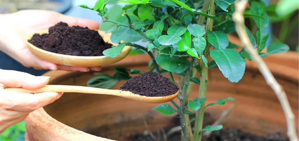 Conoce 5 ideas de jardinería con materiales reciclados